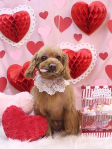 20240229紋之助くん